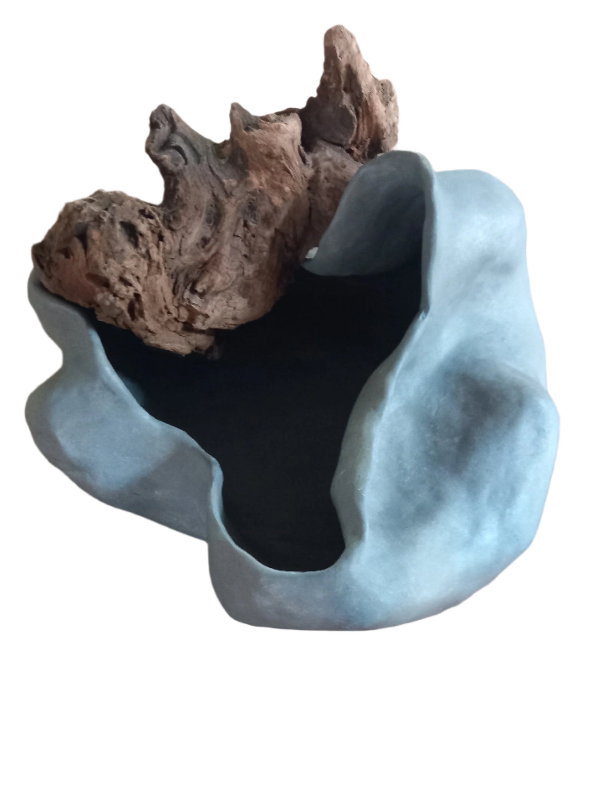 Nodo marino