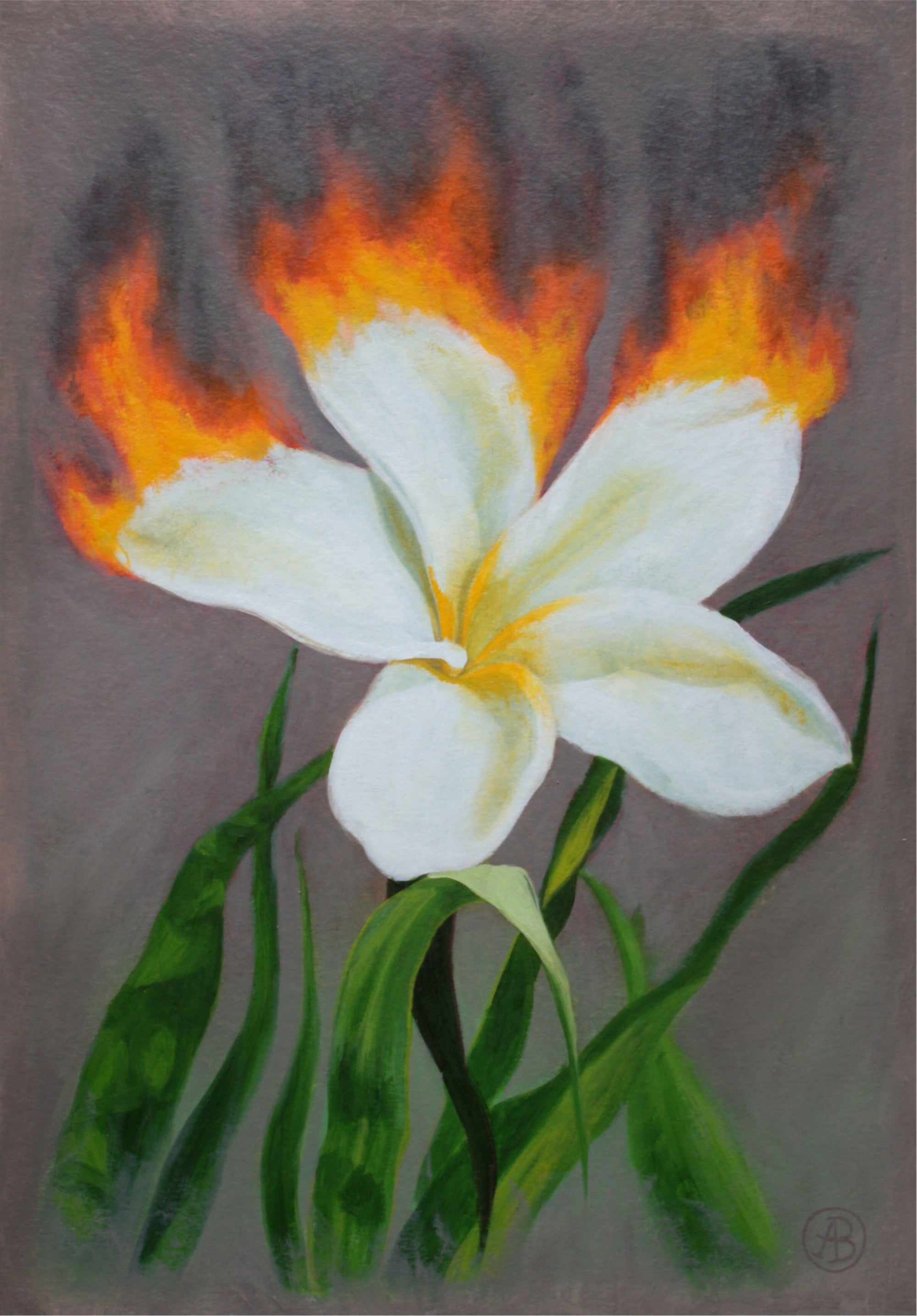 Tra le fiamme dei fiori