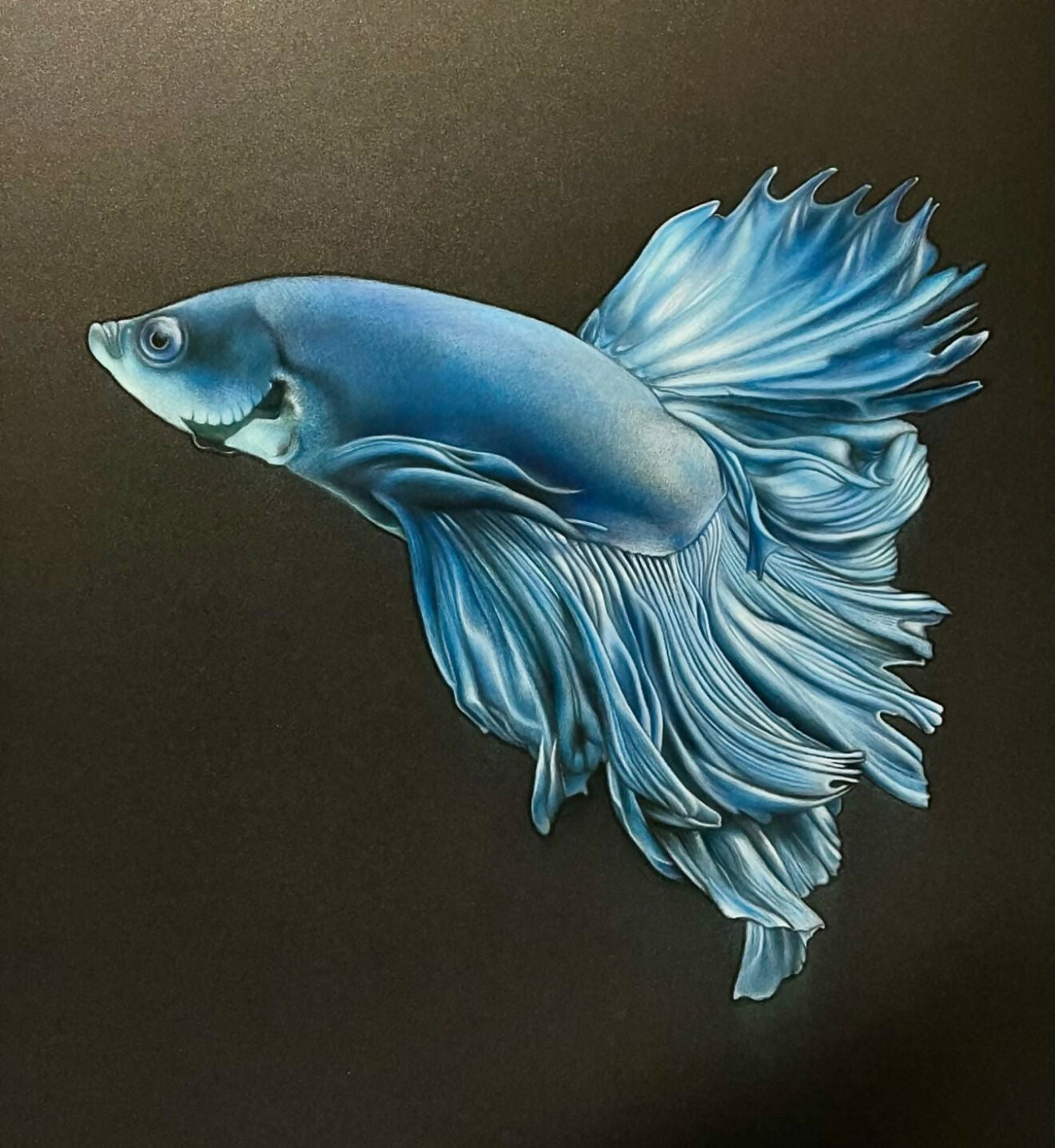 THE COLOR OF THE SEA