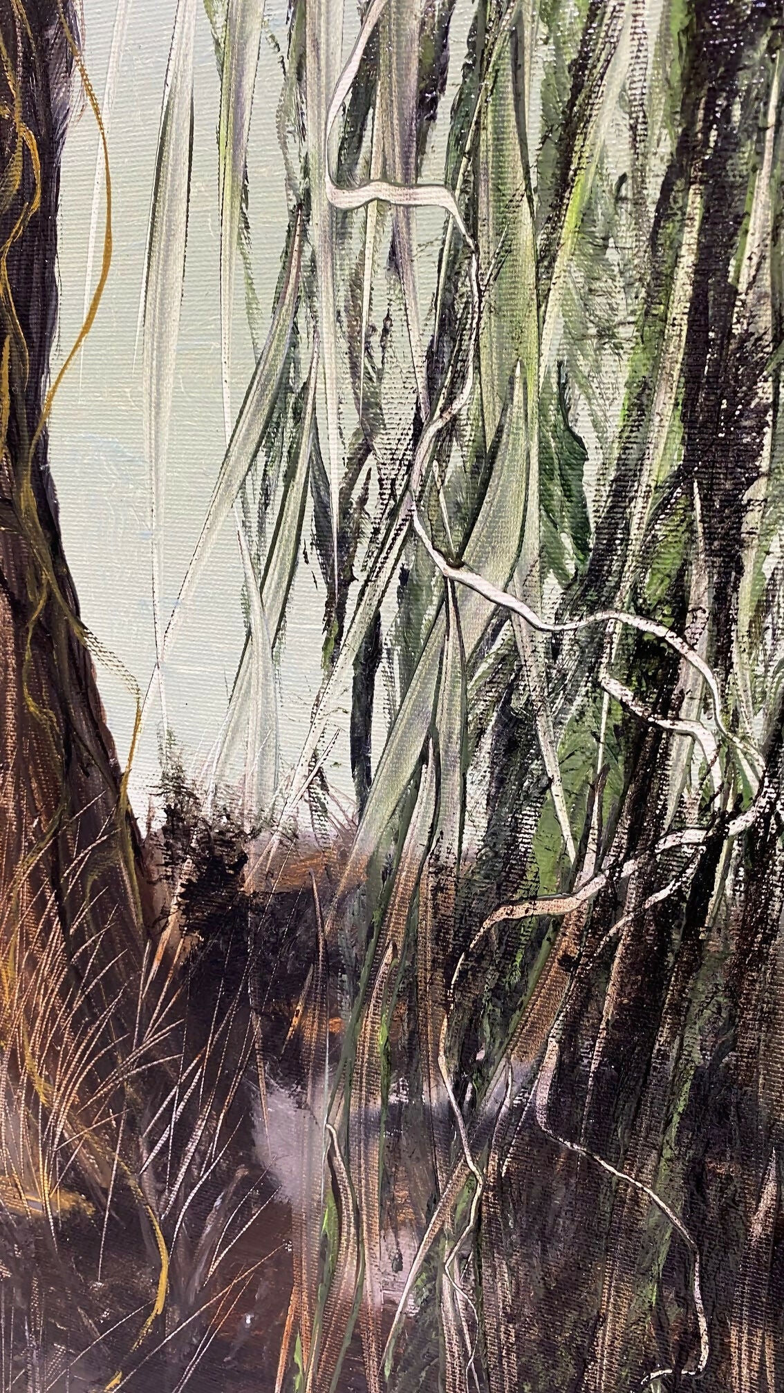 Riflessi nel silenzio