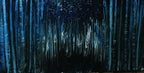 Ipnotic