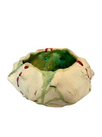 VDFE #11