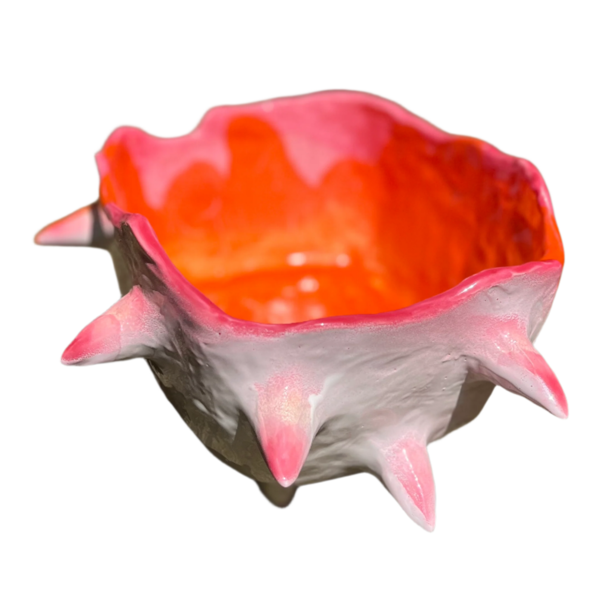 VDFE #6