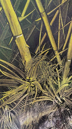 Quello che l'anima mi dice