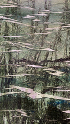 Riflessi nel silenzio